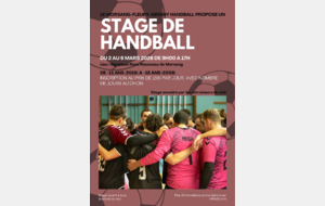 Stage de Handball de Février