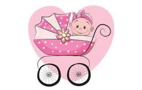 CARNET ROSE